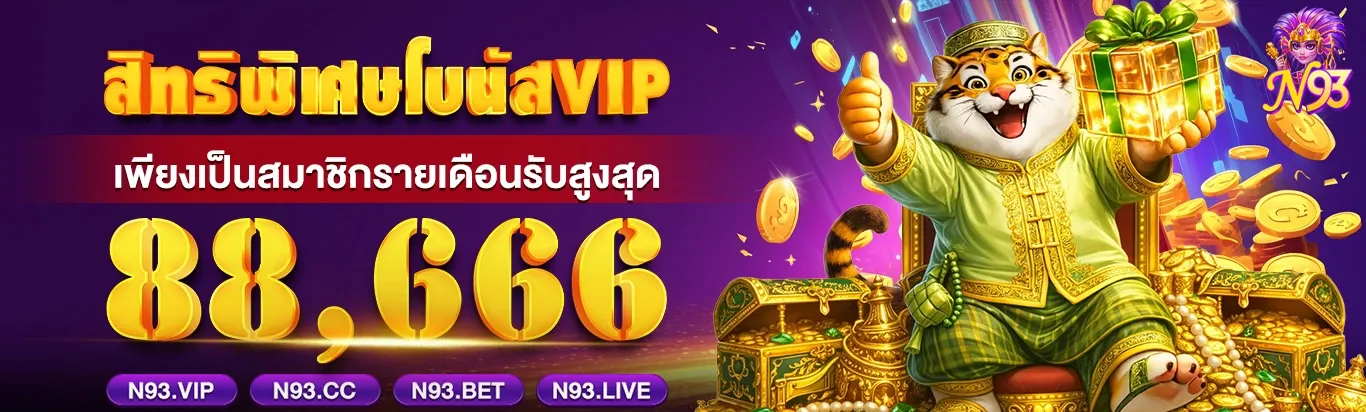 n93 banner